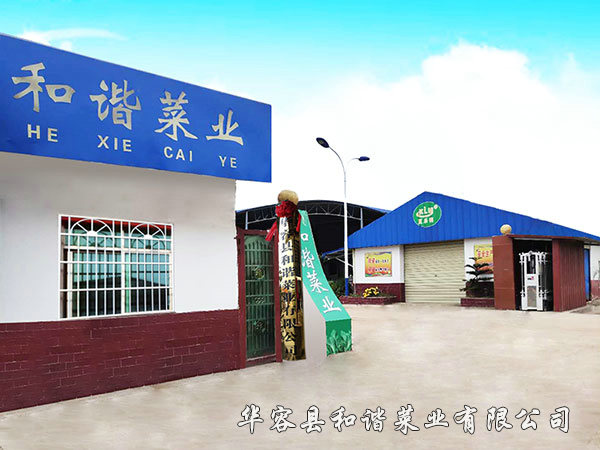 生產(chǎn)廠房